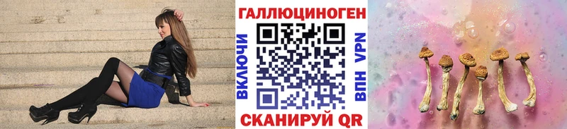 закладка  Кизляр  Псилоцибиновые грибы мицелий 