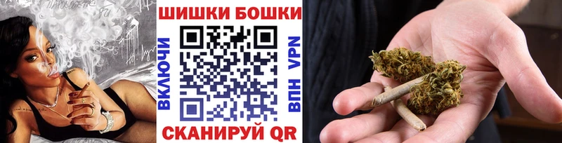 как найти наркотики  Кизляр  Марихуана ГИДРОПОН 